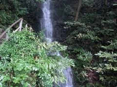 CIMG0071-九溪烟树