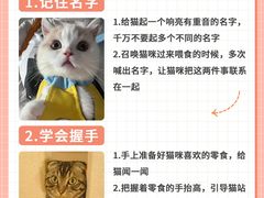 -小猫来了·猫舍(红山六九七九店)