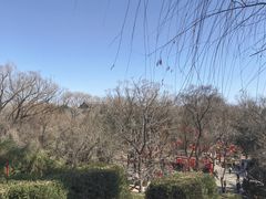 -淄博聊斋城景区