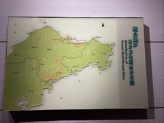 -烟台市博物馆