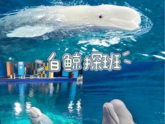 -三亚亚特兰蒂斯度假区