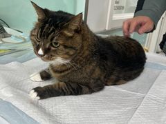 -达爱动物医院·犬猫分区·CT·复杂眼科(远洋山水分院)