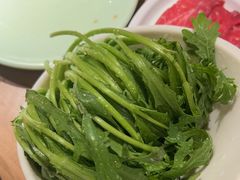 -掂档潮汕牛肉火锅(沈阳万象城店)