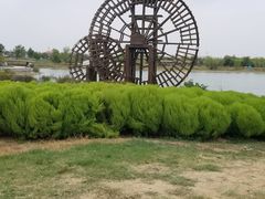 -金卉庄园
