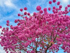 -万科前海企业公馆