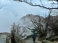 -泰山风景名胜区