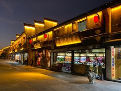 -溪口-滕头旅游景区