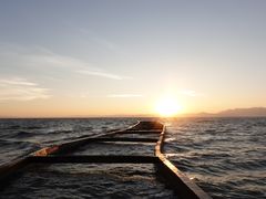 -呈贡滇池生态湿地公园