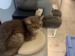 -天使咖啡(兴新街店)