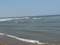 -日照海滨国家森林公园