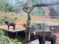 -海南热带野生动植物园