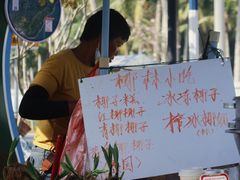 -东郊椰林