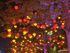 -厦门园林博览苑