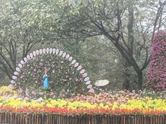 -南山植物园