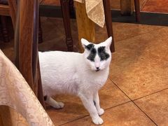 -维吾尔餐厅(宜山路店)