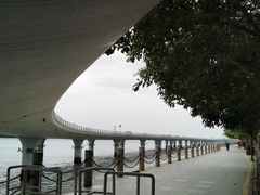 -演武大桥观景平台