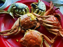 -好伦哥(温都水城店)