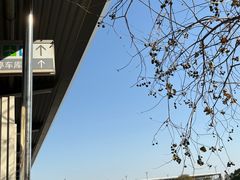 -星巴克臻选(上海虹桥新天地三店)