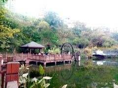 -重庆彩云湖湿地公园