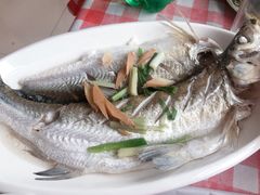 -湖山人家·湖景餐厅·特色农家菜(太湖西山店)