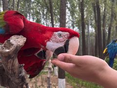 -北京野生动物园