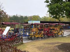 -上海长兴岛郊野公园