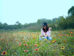 -永定河休闲森林公园