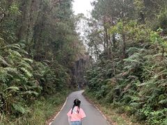 -红山村