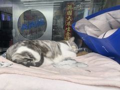 -谜盒子奇幻密室(南屏店)