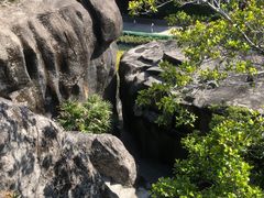 -金鸡山公园