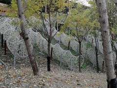 -北京鹿世界主题园