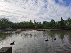 -溱湖国家湿地公园