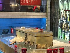 -禄婶鸡煲·打边炉