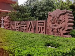-木塔寺遗址生态公园