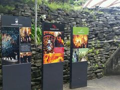 -怀托摩萤火虫洞