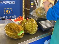 -麦德龙(十里河店)