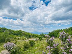 -白草畔自然风景区
