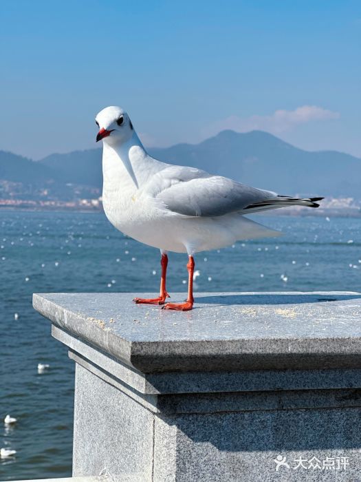 海埂大坝图片