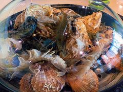 -巧克力渔家.小船海鲜胶东菜(万平口店)