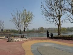-东郊湿地公园