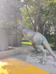 -大望京儿童游乐场