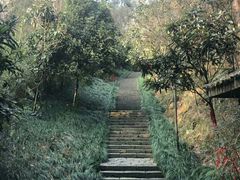 -梦姑塘文化公园
