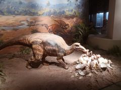 -自贡恐龙博物馆