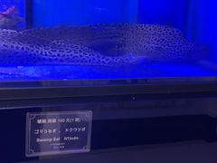 -顶鲜101美食美景餐厅