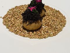 -觀芷隐轩