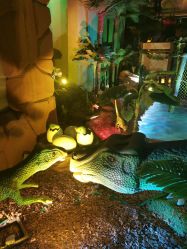 -恐龙探索乐园(磁器口店)