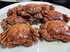 -百丈园龙江啫神馆