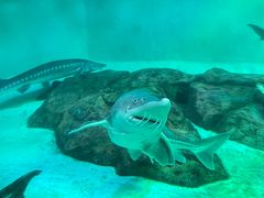 -太平洋海底世界