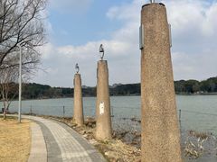 -昆山城市生态森林公园