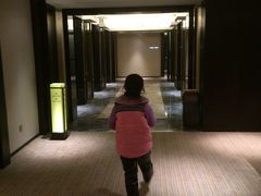 楼层-南京金陵饭店